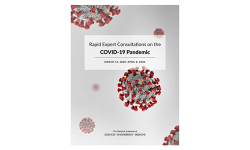 Consultas rápidas de expertos sobre la pandemia de COVID-19
