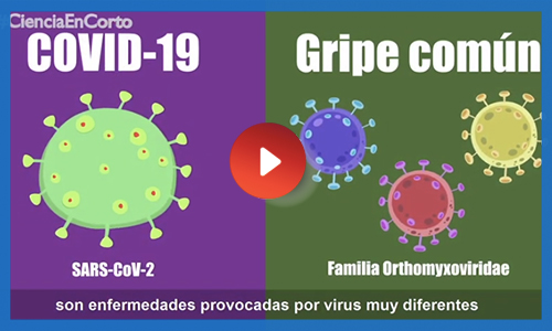 Diferencias entre la COVID-19 y la Gripe