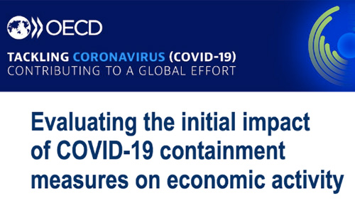 Evaluación del impacto inicial de las medidas de contención de COVID-19 en la actividad económica
