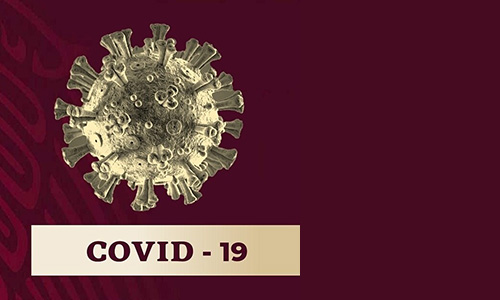 Coronavirus (COVID-19)-Comunicado Técnico Diario