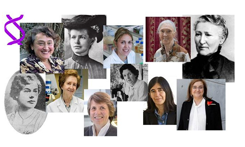 Sin las biólogas, la Biología no sería lo que es hoy en día