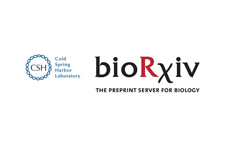 Una lista de las proteínas humanas afectadas por el virus SARS-CoV-2 ofrece una guía de posibles tratamientos para las personas infectadas.