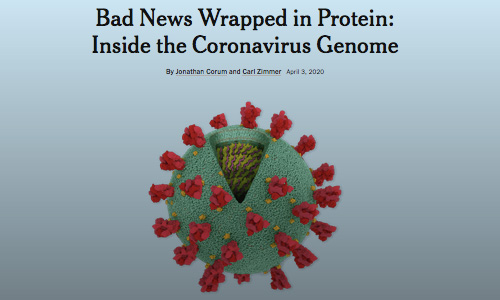 Bad News Wrapped in Protein: Inside the Coronavirus Genome