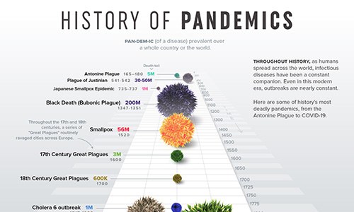 Visualizing the History of Pandemics